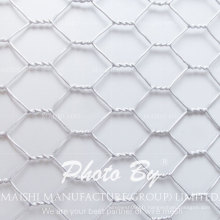 Galvanisé / maille hexagonale de PVC